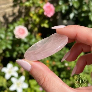 May include: A smooth, oval-shaped rose quartz crystal. The translucent pink stone is held between fingers, with a blurred background of pink roses and greenery. The crystal is approximately 4 inches long.