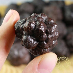 May include: A close-up of a dark brown, textured object held between fingers. The object has a rough, irregular surface and appears to be a cluster of smaller, rounded shapes. The background is blurred, with more of the same objects visible.