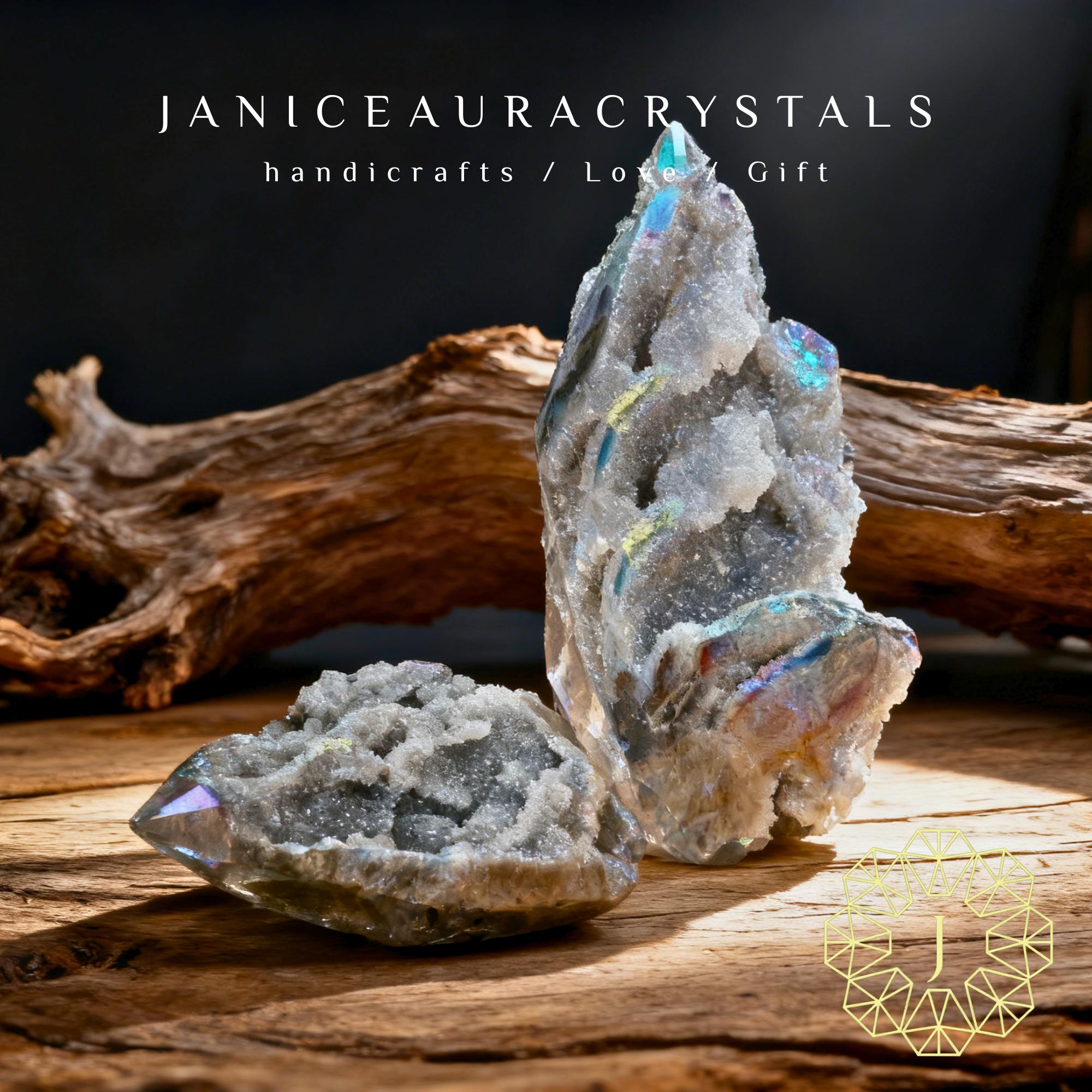 大型標本 - Etsy 日本