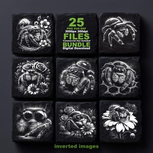 May include: A digital bundle of 25 spider illustrations featuring various jumping spiders in black and white. The images include spiders with flowers, honeycombs, and large eyes. Text reads 25 PNG SVG DXF 3000px 300dpi FILES Commercial Use Included Digital Download.