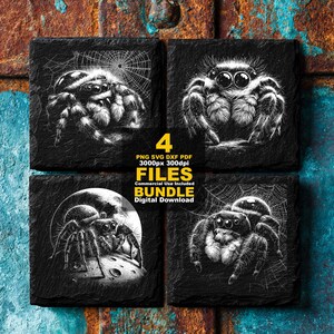 May include: A digital download bundle featuring four square black tiles with white line art illustrations of jumping spiders. One spider sits on a web, one faces forward, one sits on a moon, and one rests on a web. Text reads 4 PNG SVG DXF PDF.