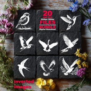 Op de afbeelding: Negen vierkante zwarte tegels met witte vogelillustraties, waaronder een kolibrie en een adelaar. De tegels zijn omringd door bloemen. Tekst op één tegel luidt "20 PNG SVG FILES BUNDLE Digital Download". De tekst "inverted images" is ook aanwezig.