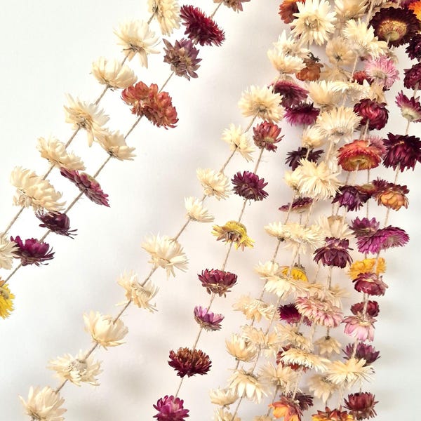 Flower garland - dried strawflowers