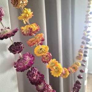 Op de afbeelding: Een slinger van gedroogde bloemen in tinten geel, oranje en paars. De bloemen zijn aan elkaar geregen en vormen een decoratieve ketting. De slinger hangt tegen een neutrale achtergrond. De bloemen staan in volle bloei.