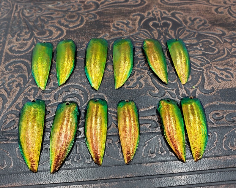 Copper Gold Beetle Elytra 6 or 12 Pair Drilled Red Jewel Beetle Wings Jewelry Making Scarab Beetle Wing Covers for Crafts