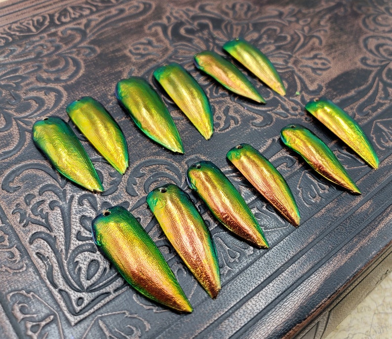 Copper Gold Beetle Elytra 6 or 12 Pair Drilled Red Jewel Beetle Wings Jewelry Making Scarab Beetle Wing Covers for Crafts