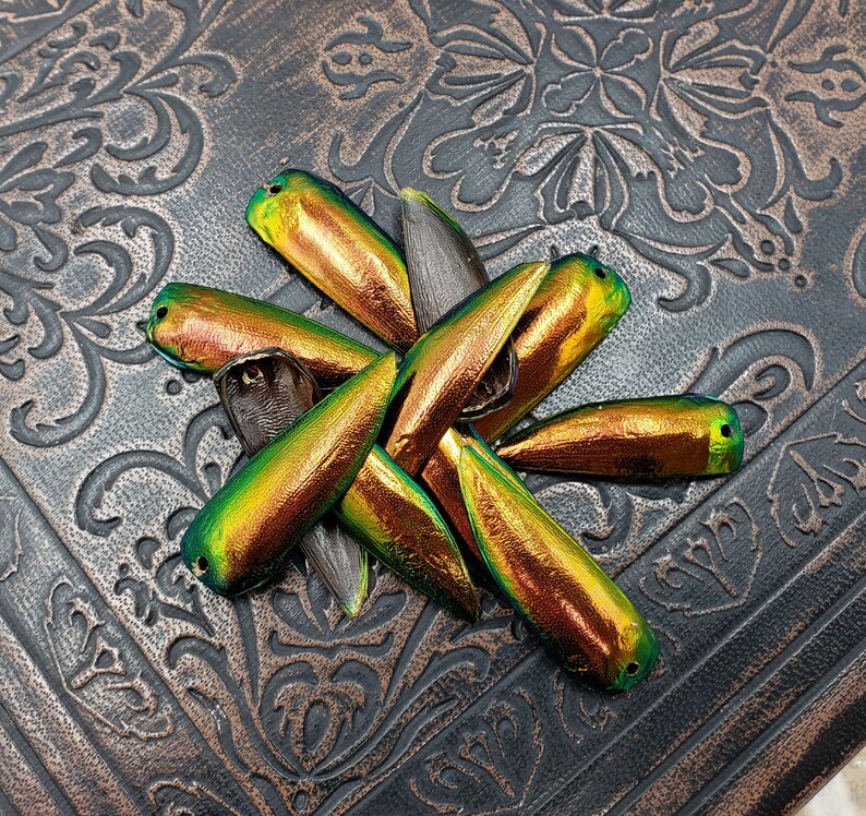 Copper Gold Beetle Elytra 6 or 12 Pair Drilled Red Jewel Beetle Wings Jewelry Making Scarab Beetle Wing Covers for Crafts