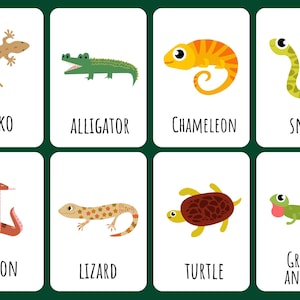 Puede incluir: Tarjetas ilustradas con reptiles y anfibios. Cada tarjeta muestra un animal diferente: gecko, caimán, camaleón, serpiente, pitón, lagarto, tortuga y anolis verde, con el nombre del animal debajo.