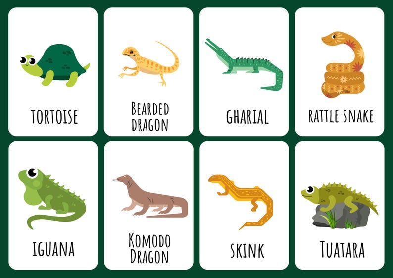 16 Digital Reptile Flashcards for Kids | Printable Educational Cards ...