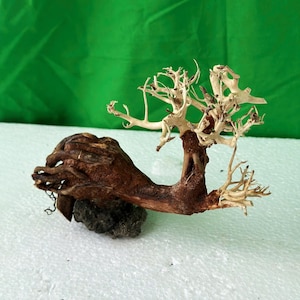 Bonsai tree quarium driftwood aquascape decoration fish tank hardscape
