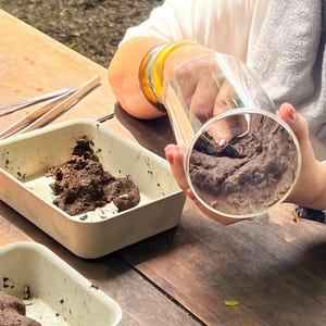 Puede incluir: Un cilindro de vidrio transparente se sostiene frente a una bandeja con material marrón oscuro, posiblemente tierra o una sustancia similar. La escena se desarrolla sobre una mesa de madera, con una segunda bandeja y unas pinzas.