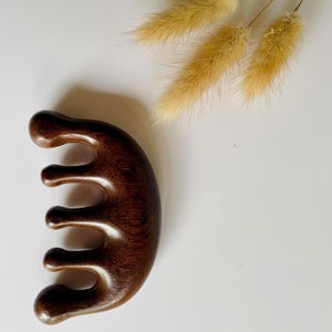 Puede incluir: Un peine de madera de color marrón oscuro con cinco dientes gruesos y redondeados y un mango curvo y liso. El peine presenta un acabado pulido que resalta los patrones naturales de la veta de la madera, junto a tres tallos de hierba beige secos y esponjosos.