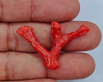 Branche De Corail Rouge Naturel Italien - Pierre Précieuse - 12,25 Carats - 4 Pièces - Neuf