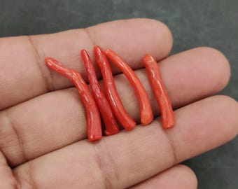 イタリア産赤珊瑚スティック、天然宝石研磨用ラフ珊瑚 | イタリア産赤 