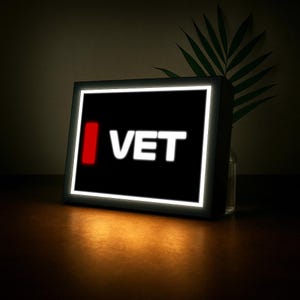 Sebastian Vettel (Ferrari F1) Namensabkürzung mit LED-Beleuchtung, Formel 1, F1 Racing