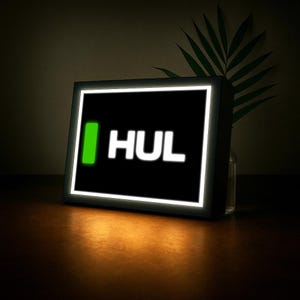 Nicole Hülkenberg (Sauber F1) Namensabkürzung mit LED-Beleuchtung, Formel 1, F1 Racing