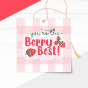 May include: Square gift tag with a pink gingham pattern and the phrase "you're the Berry Best!" in green and red. The tag features strawberry illustrations and a natural twine string for hanging.