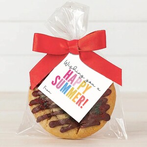May include: A round biscuit drizzled with dark chocolate and red sprinkles, packaged in a clear plastic bag tied with a red satin ribbon. A square white tag is attached, featuring the text "Wishing you a HAPPY SUMMER!" and "From".
