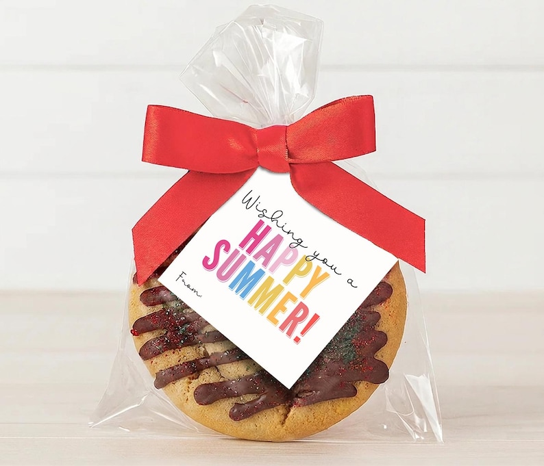 May include: A round biscuit drizzled with dark chocolate and red sprinkles, packaged in a clear plastic bag tied with a red satin ribbon. A square white tag is attached, featuring the text "Wishing you a HAPPY SUMMER!" and "From".
