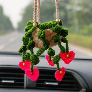 Crochet Plant Flower Hanging Basket, Car Decor, Rearview Mirror Hanging, Birthday, Anniversary Gift for Friend, Girlfriend, Mom, Dad, Her