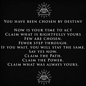 The Original Source-Code Matrix | Synthetic Clone Eradication & Bio-Energetic Signature Protection Attunement | Audio + Digital Files bild 7