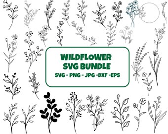 Paquete de archivos SVG de flores silvestres, boceto floral botánico (descarga digital)