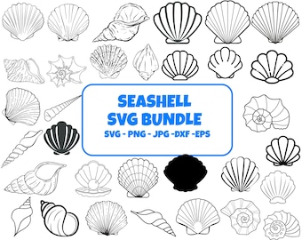 Seashell SVG Bundle, Clipart, Cut Files for Cricut (Digital Download)
