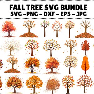 May include: A collection of fall tree designs in various styles and colors, including yellow, orange, and red. The image includes the text "FALL TREE SVG BUNDLE SVG - PNG - DXF - EPS - JPG". The trees are depicted with and without leaves.