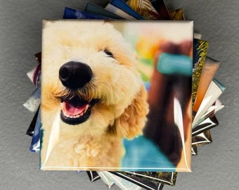 Custom Pet Photo Magnet: Personalized Dog & Cat Portrait Keepsake
