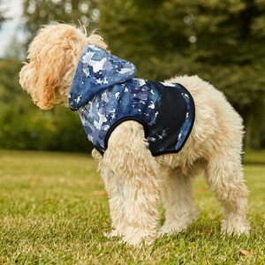 Mountain Pet Hoodie- Art paintings on pet sweater