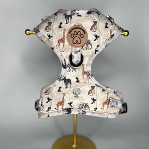 Barking Wild Harness