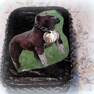 Pit Bull, caixa de lata alterada, caixa de memória, porta-moedas, caixa de cartão de crédito, caixa de armazenamento, caixa de lembrança, caixa de tesouro, caixa de lata decorativa, porta-moedas