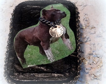Pit Bull Tin Box, Memory Keepsake, Gift, Credit, Business Card, Trinket, Stamps, Paperclips, Coins
