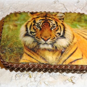 Op de afbeelding: Een kleine, rechthoekige doos met een koperkleurig draadframe. De doos heeft een kleurrijk beeld van een tijger met oranje en zwarte strepen, liggend in een grasveld.