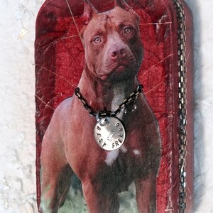 Pit Bull, caixa de lata alterada, caixa de memória, porta-moedas, caixa de cartão de crédito, caixa de armazenamento, caixa de lembrança, caixa de tesouro, caixa de lata de Pit Bull, bolsa de troco