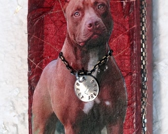 Pit Bull Tin Box, Keepsake, Stash Box, coin, credit, business, gift, stamps, paperclips case