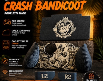 Kit personalizado AYN Thor Crash Bandicoot / Cubierta trasera, empuñaduras, gatillos