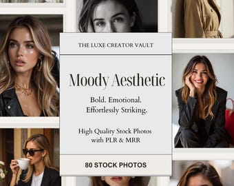 Moody Stock Photos | 80 Feminine Images | Social Media Photos |  PLR & MRR