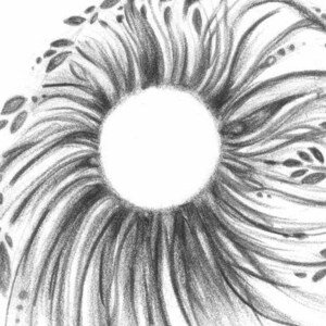 May include: A detailed pencil drawing of a central white circle surrounded by swirling, textured lines. The lines radiate outwards, with small leaf-like shapes scattered around the edges, creating a stylized, organic design.