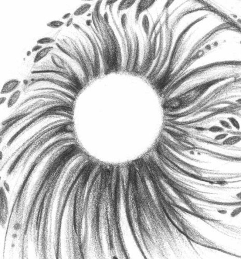 May include: A detailed pencil drawing of a central white circle surrounded by swirling, textured lines. The lines radiate outwards, with small leaf-like shapes scattered around the edges, creating a stylized, organic design.
