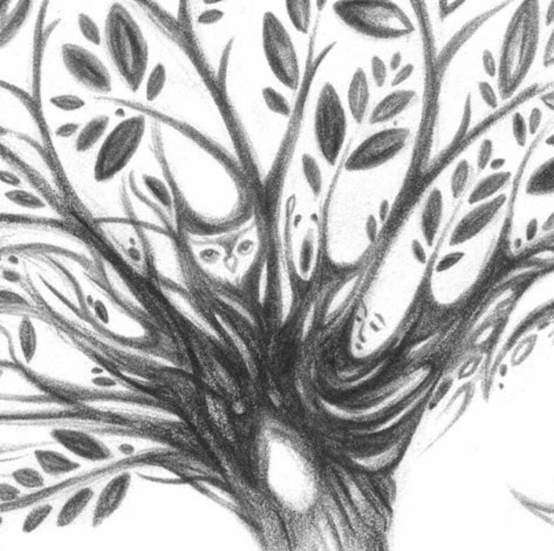 May include: A detailed pencil drawing of a tree with leaves and branches. An owl is hidden within the branches. The artwork is in black and white, with a focus on texture and shading to create depth and dimension.