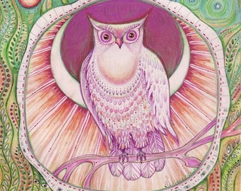 Moon Owl Art print from the original drawing by Liza Paizis