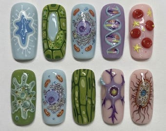 Biology Microscopic Wonders Press On Nails | 3D DNA Plant Animal Cell Neuron Neuron Bacteria Paramecium Science Fake Nails