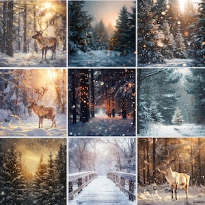 Può includere: Una collezione di nove immagini di paesaggi invernali. Le scene raffigurano foreste innevate, renne e un ponte, il tutto immerso nella luce del sole o in una luce soffusa. Le immagini evocano un senso di pace e la bellezza dell'inverno.