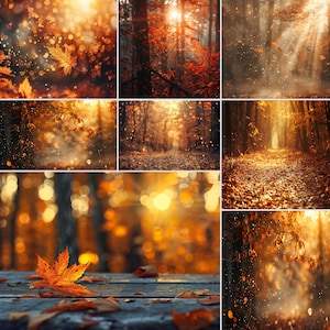 Op de afbeelding: Een collage van herfstbossen in warm zonlicht. De afbeeldingen tonen gouden bladeren, zonovergoten paden en bokeh-effecten, waardoor een serene en levendige sfeer ontstaat. Het kleurenpalet wordt gedomineerd door oranje, geel en bruin.
