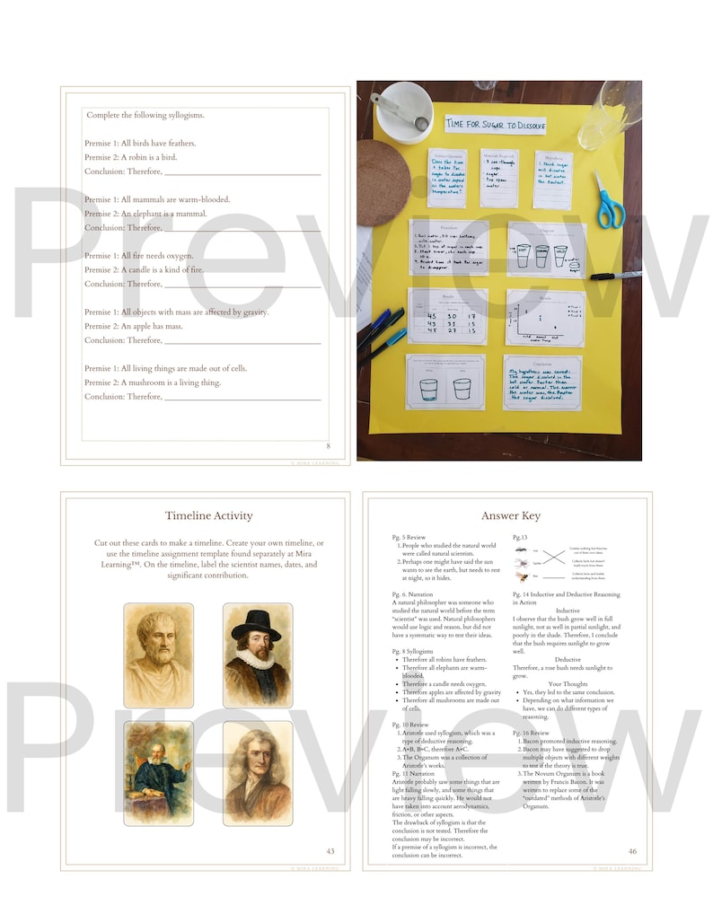 May include: A collection of educational materials, including worksheets with syllogisms, a timeline activity with portraits, and an answer key. The materials are on a white background with a yellow poster board.