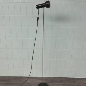 May include: A tall floor lamp featuring a slender silver metal pole, a circular black base, and a single adjustable black cylindrical spotlight head. A black power cord with an inline switch hangs down from the lamp head to the floor.