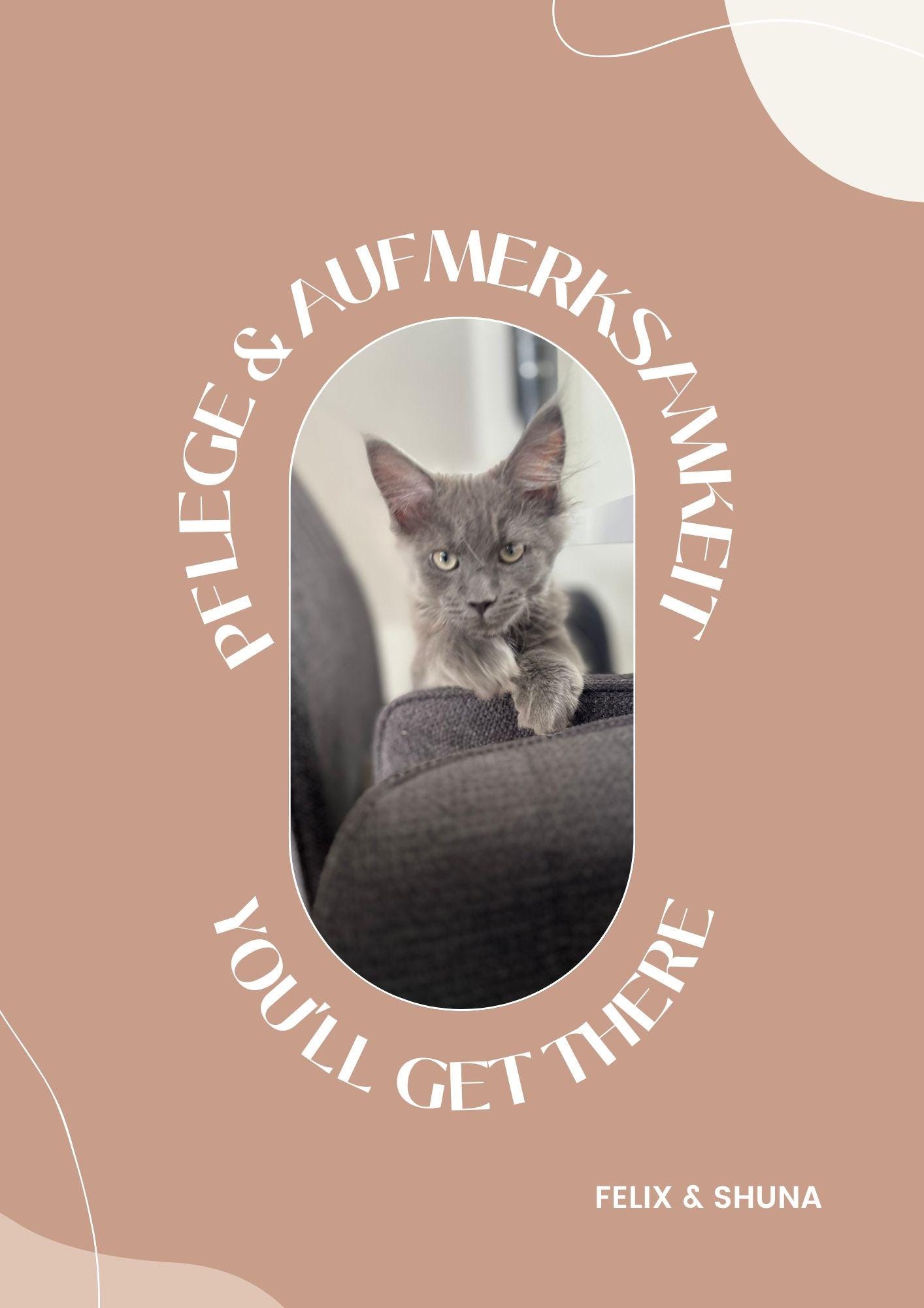 Maine Coon Kitten Guide | Printable Cat Care Checklist & Feeding Tips ...