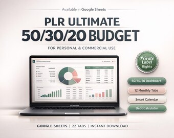 PLR 50/30/20 Monatliches Jahresbudget | Excel Google Sheets Finanzierung, Verschuldung, Reinvermögen