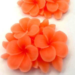 May include: Two orange plumeria flowers with multiple petals are displayed against a white background. The flowers are in full bloom, showcasing their vibrant color and intricate petal arrangement. The image is a close-up, highlighting the details of the floral design.